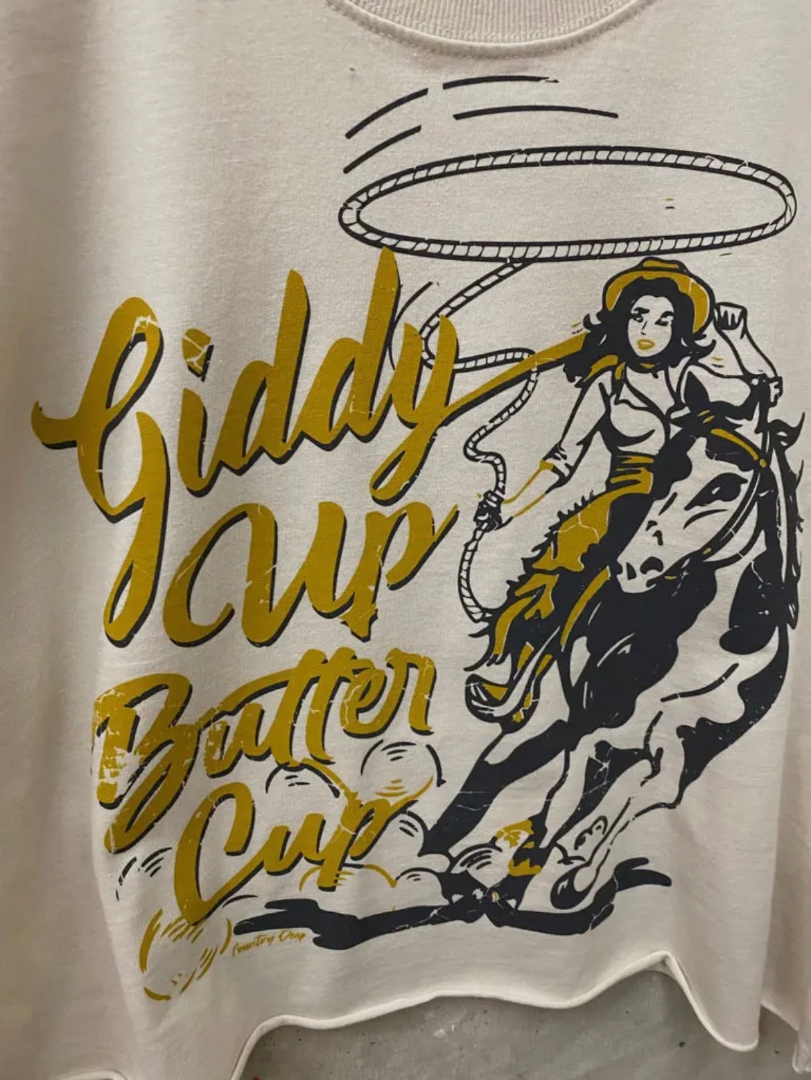 Wild Rides & Sunrise Vibes tee