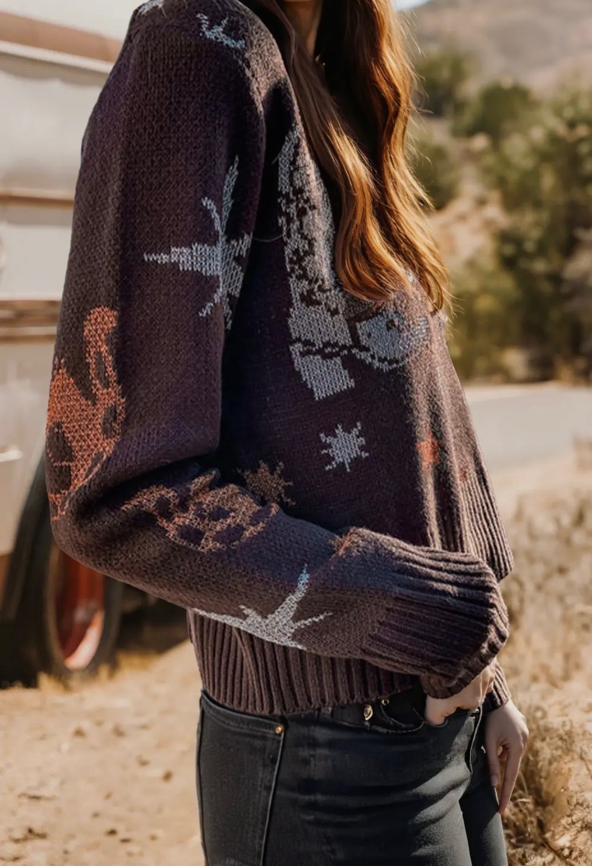 Western Wishes sweater